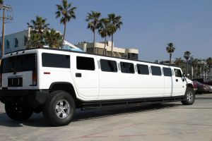 Limousine Insurance in Waseca MN